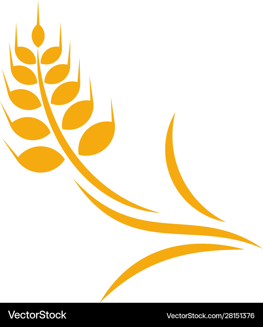Landwirtschaft Weizen Logo Vorlage Luxus Landwirtschaft Weizen Logo Vorlage Luxus vektorbild