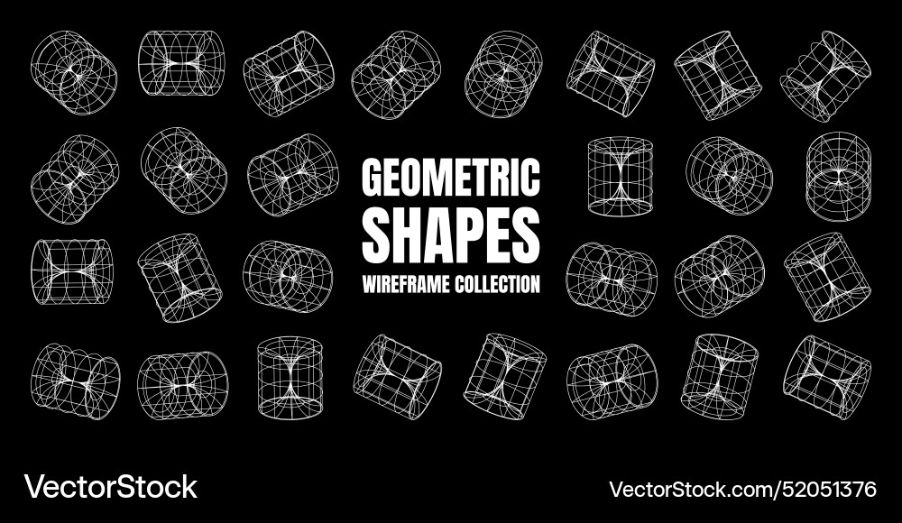 Wireframe lined shapes perspective mesh 3d grid Vector Image