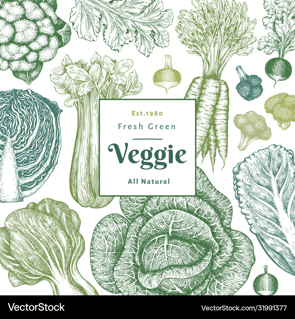 Hand drawn sketch vegetables design organic fresh Hand drawn sketch vegetables design organic fresh vector image