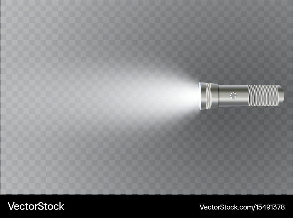 Isolated Flashlight on Transparent Background Vector Image
