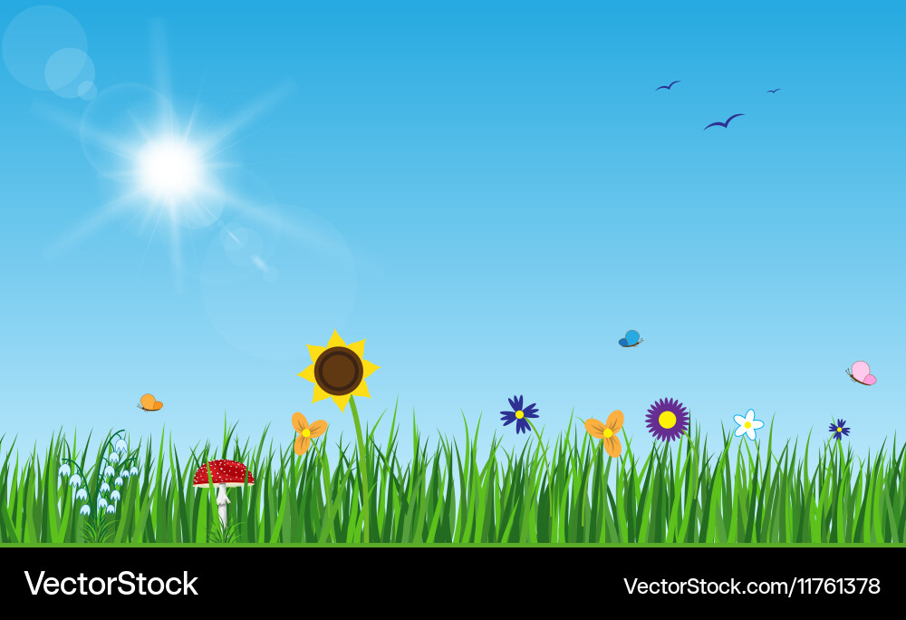 Spring landscape Royalty Free Vector Image - VectorStock