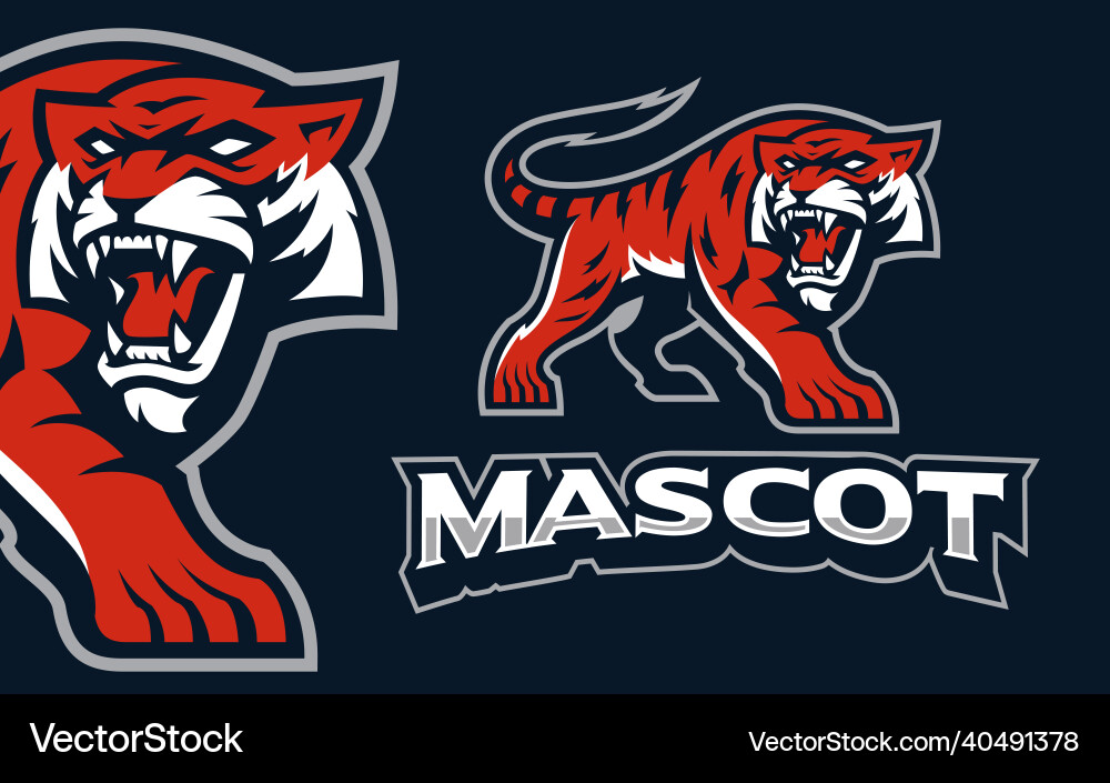 Tiger Mascot Emblem vector image