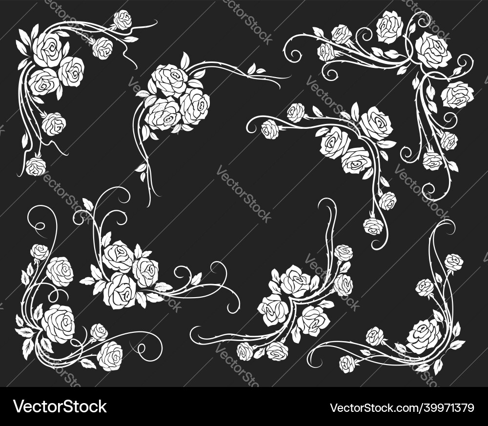 Elegant Rose Floral Borders & Dividers Vector Image