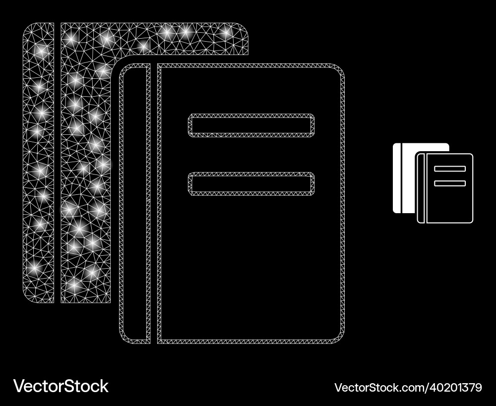 Mesh net books with illumitated carcass Mesh net books with illumitated carcass vector image