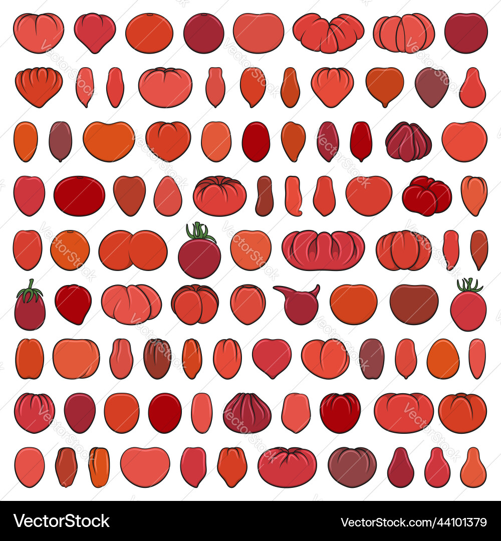 Set of color with red tomatoes Set of color with red tomatoes vector image