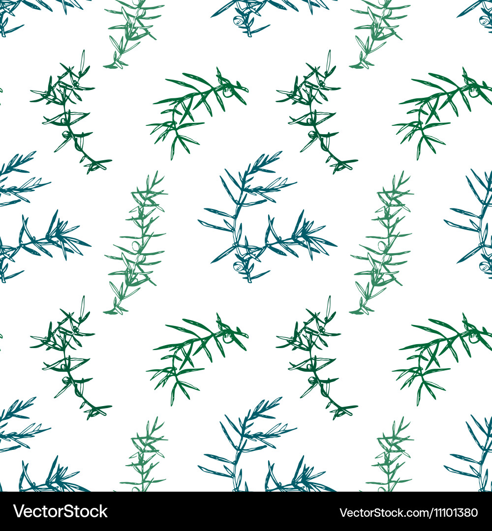 Juniper Branch Pattern vector image