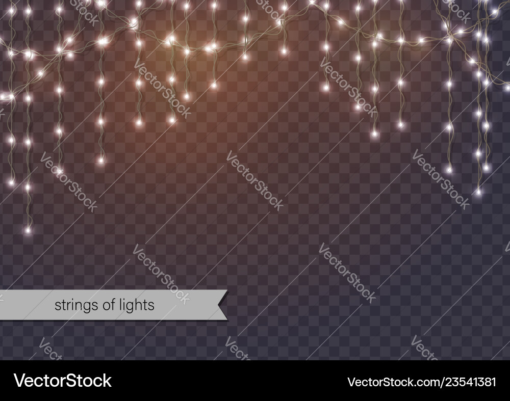 Glowing String Lights Background vector image