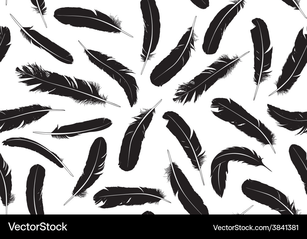 Isolated Feather Pattern vector image