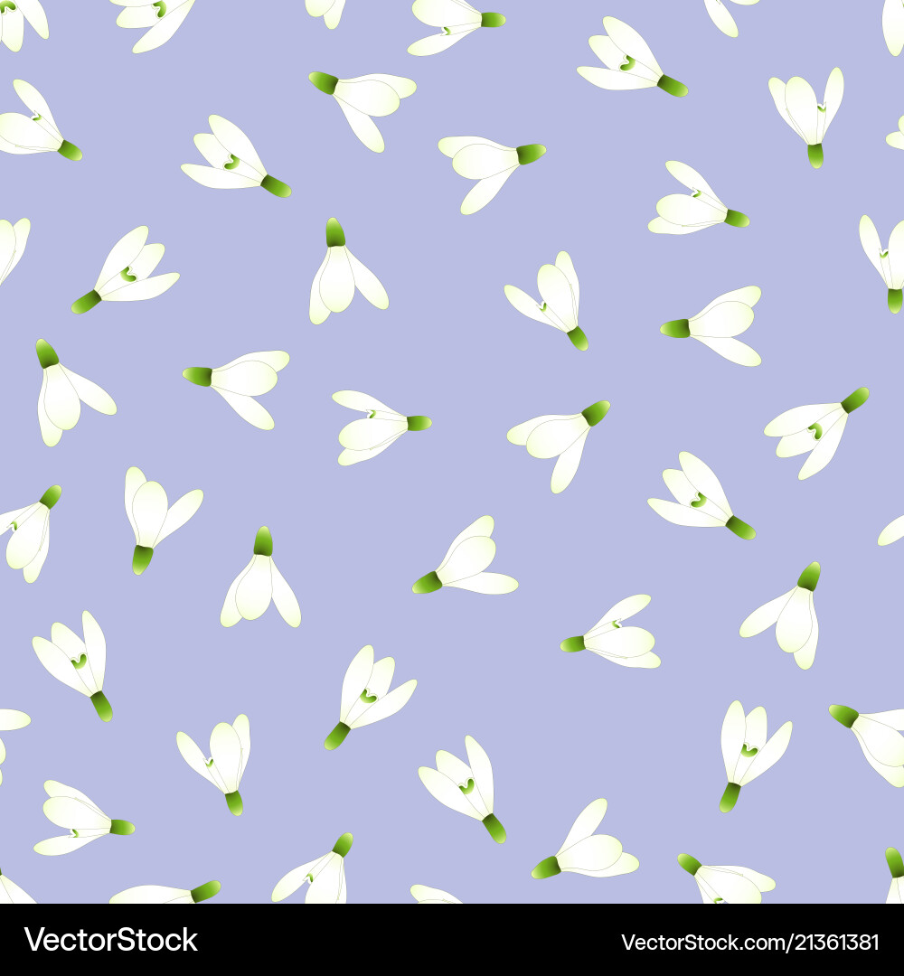 White snowdrop seamless on light purple background Vector Image