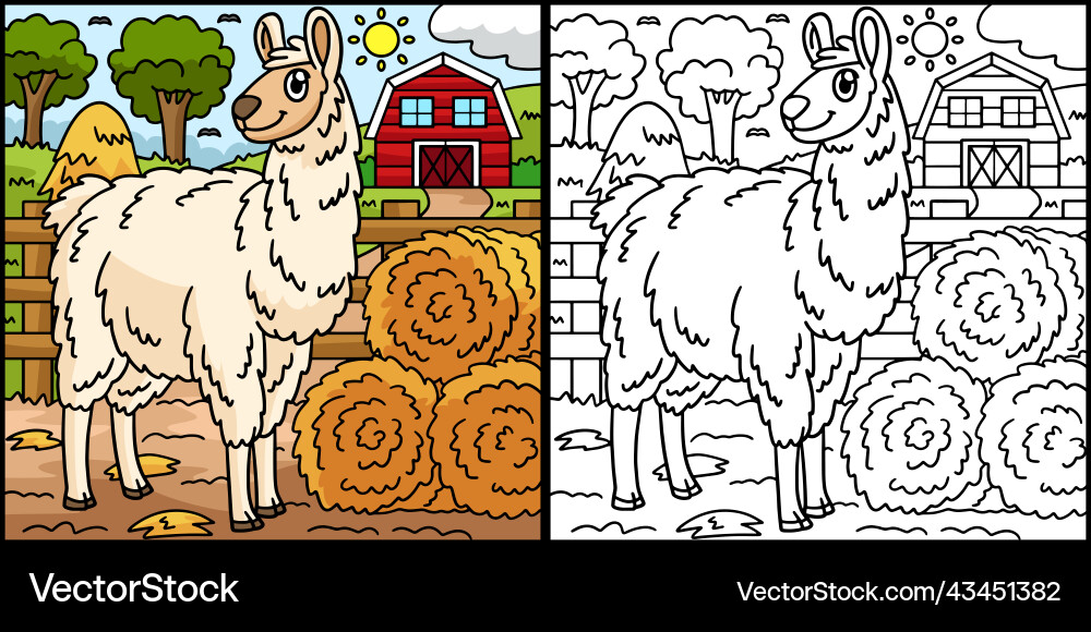 Llama coloring page colored Royalty Free Vector Image