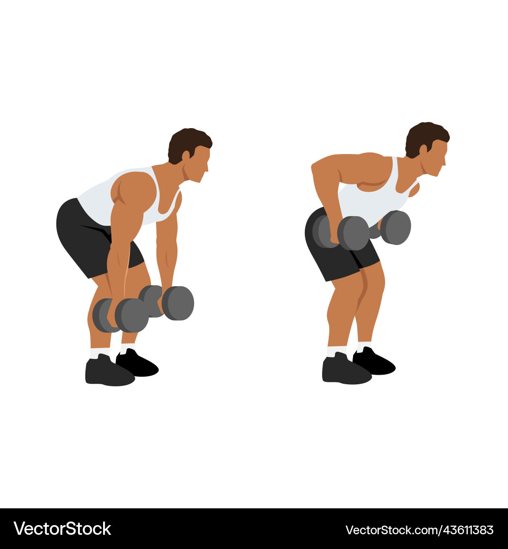Man doing dumbbell bent over rows exercise Man doing dumbbell bent over rows exercise vector image