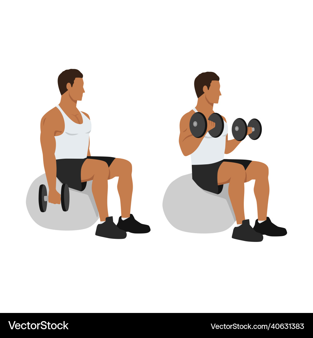 Man doing exercise swiss ball bicep curls Man doing exercise swiss ball bicep curls vector image