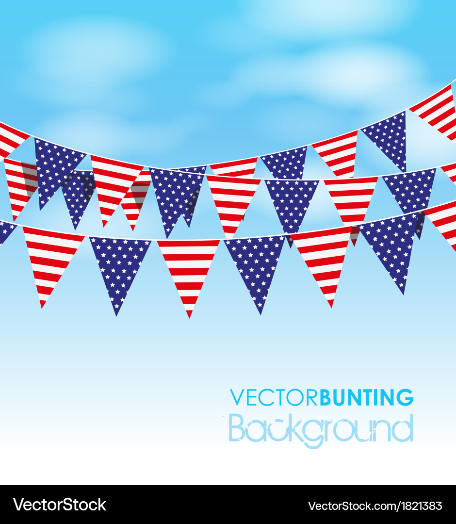 USA Bunting Celebration Vector Image