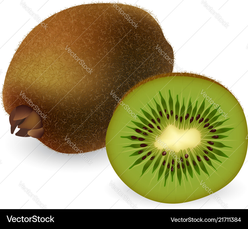 Kiwi Fruit Slice - Close-up Shot – Royalty-Free Vector | VectorStock, image size:1000x922