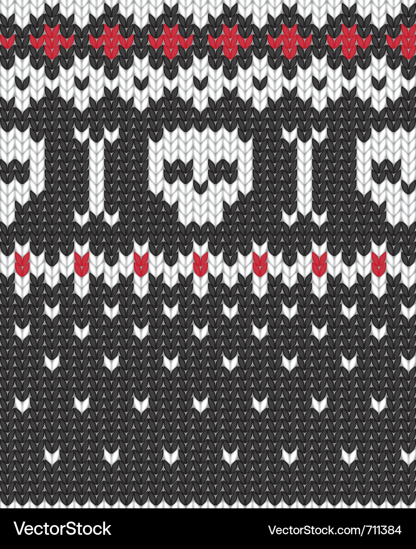 Skull Knit Pattern vector image
