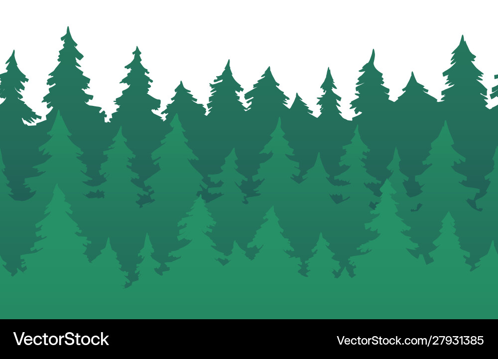 Forest Fir Trees Seamless Pattern Vector Image