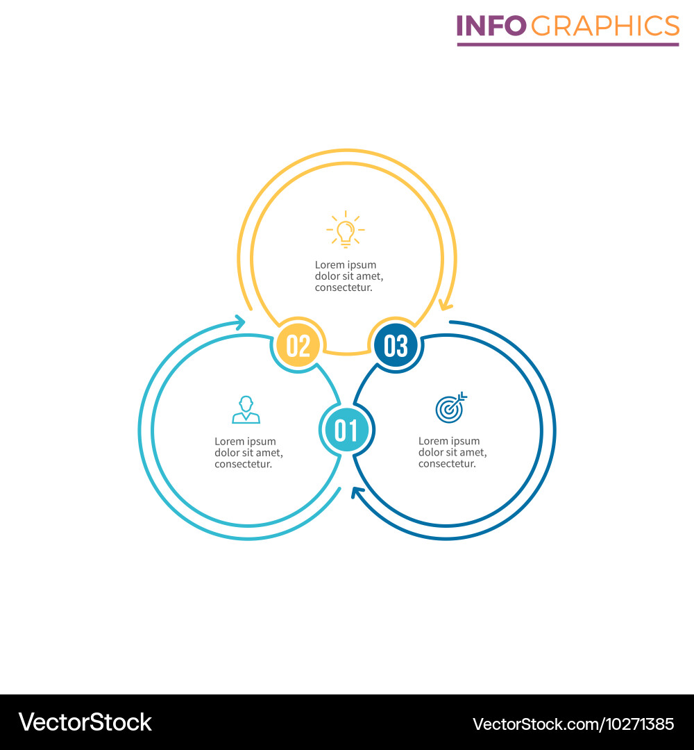 Linear infographics chart with 3 steps options vector image