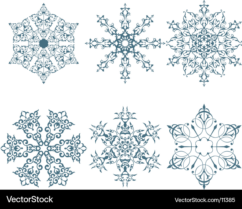 Winter Snowflake vector image