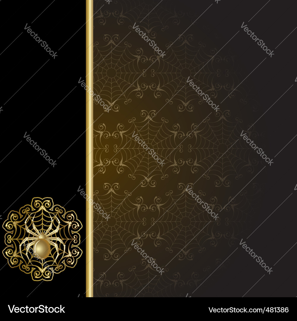 Elegant Spider Web Frame Vector Image