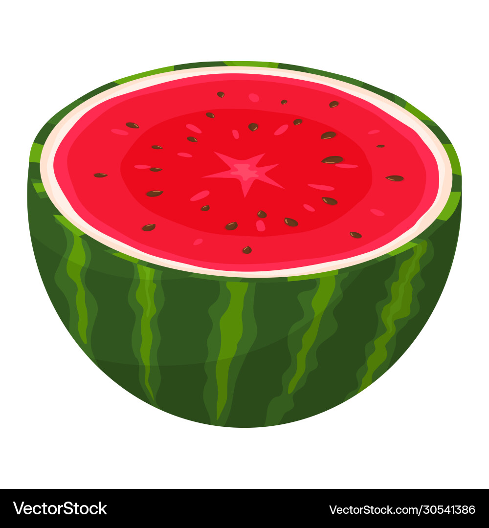 Frische Halbwassermelone Frucht isoliert auf weiß Frische Halbwassermelone Frucht isoliert auf weiß vektorbild