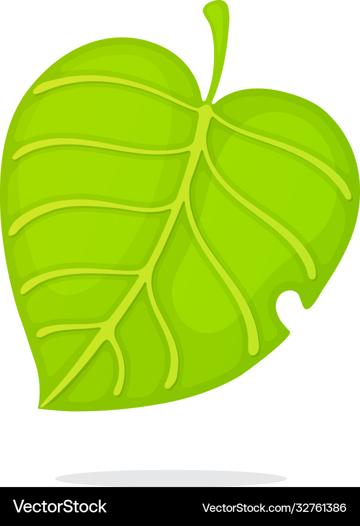 Green tree leaf Royalty Free Vector Image - VectorStock