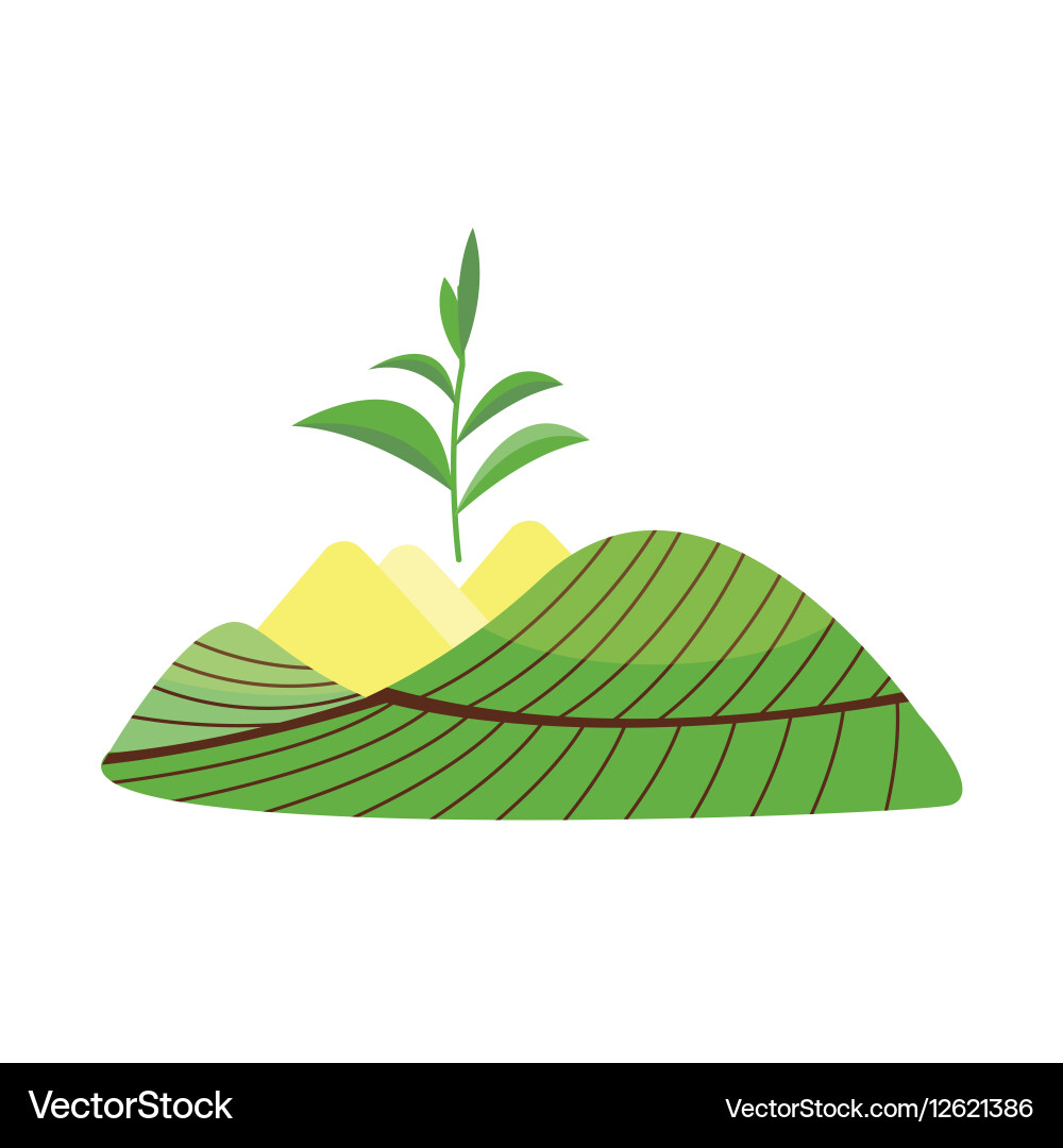 Grüne Teepflanzung Landschaft Vektorbild