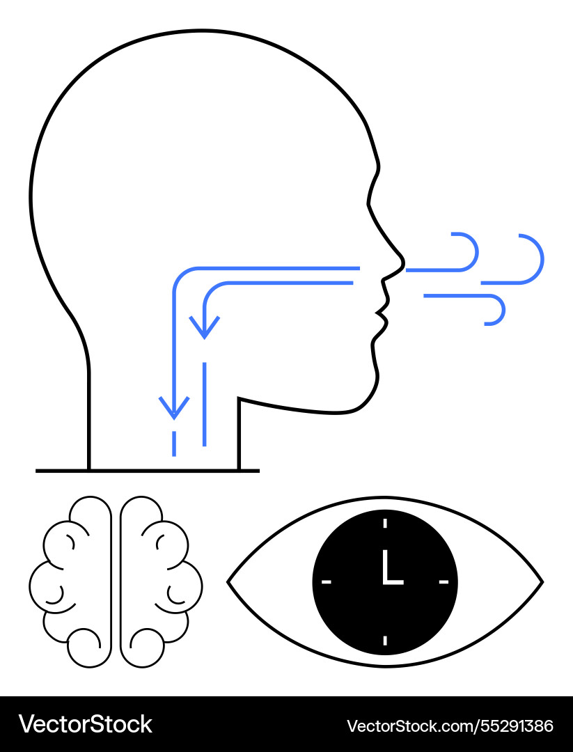 Human breathing path brain function and time Human breathing path brain function and time vector image