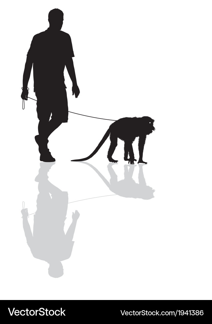 Man with a monkey on leash vector image