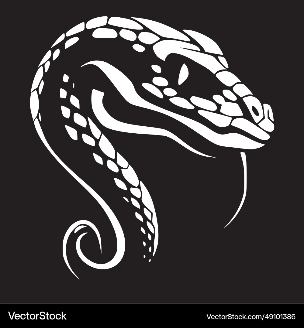 Snake - hochwertiges Logo ideal für T-Shirt Snake - hochwertiges Logo ideal für T-Shirt vektorbild
