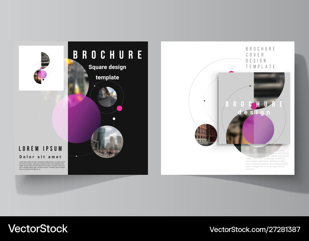 Layout two square format covers design Layout two square format covers design vector image