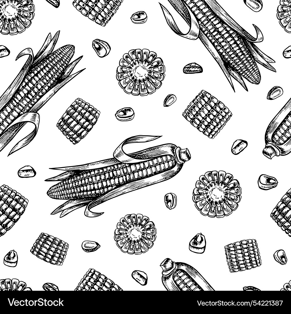 Seamless corn pattern graphics depicting Seamless corn pattern graphics depicting vector image