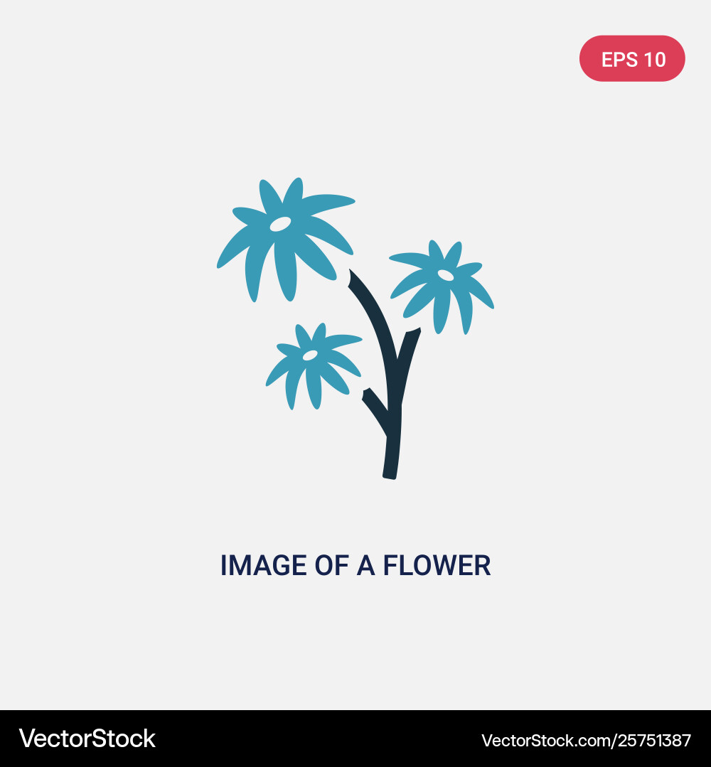 Two color image a flower icon from user Vector Image
