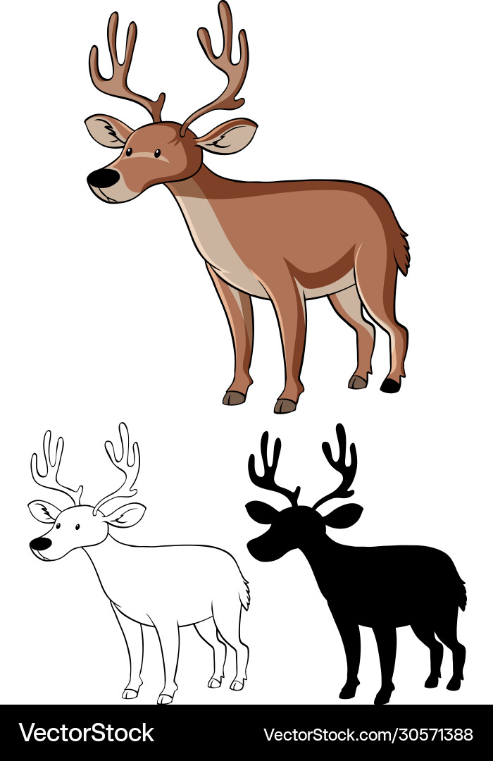 Cute Cartoon Deer Set Vector Image