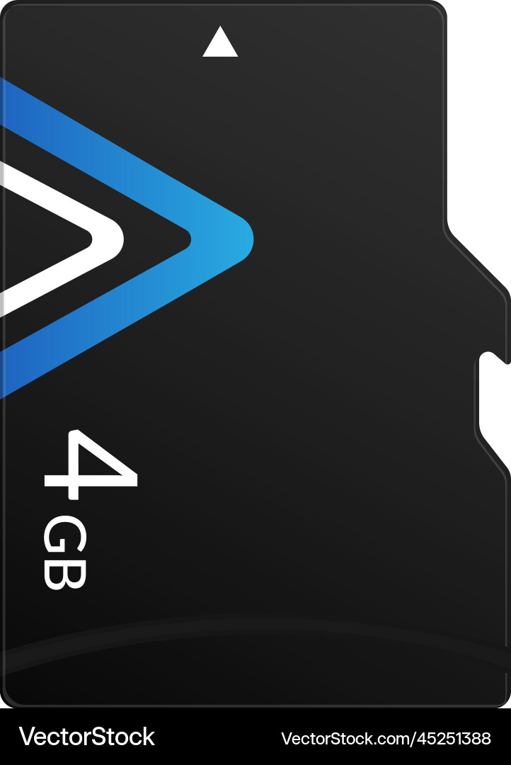 Realistic memory card Realistic memory card vector image
