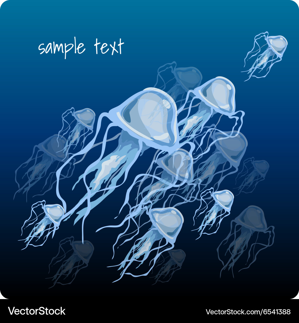 Set of jellyfish space for text vector image