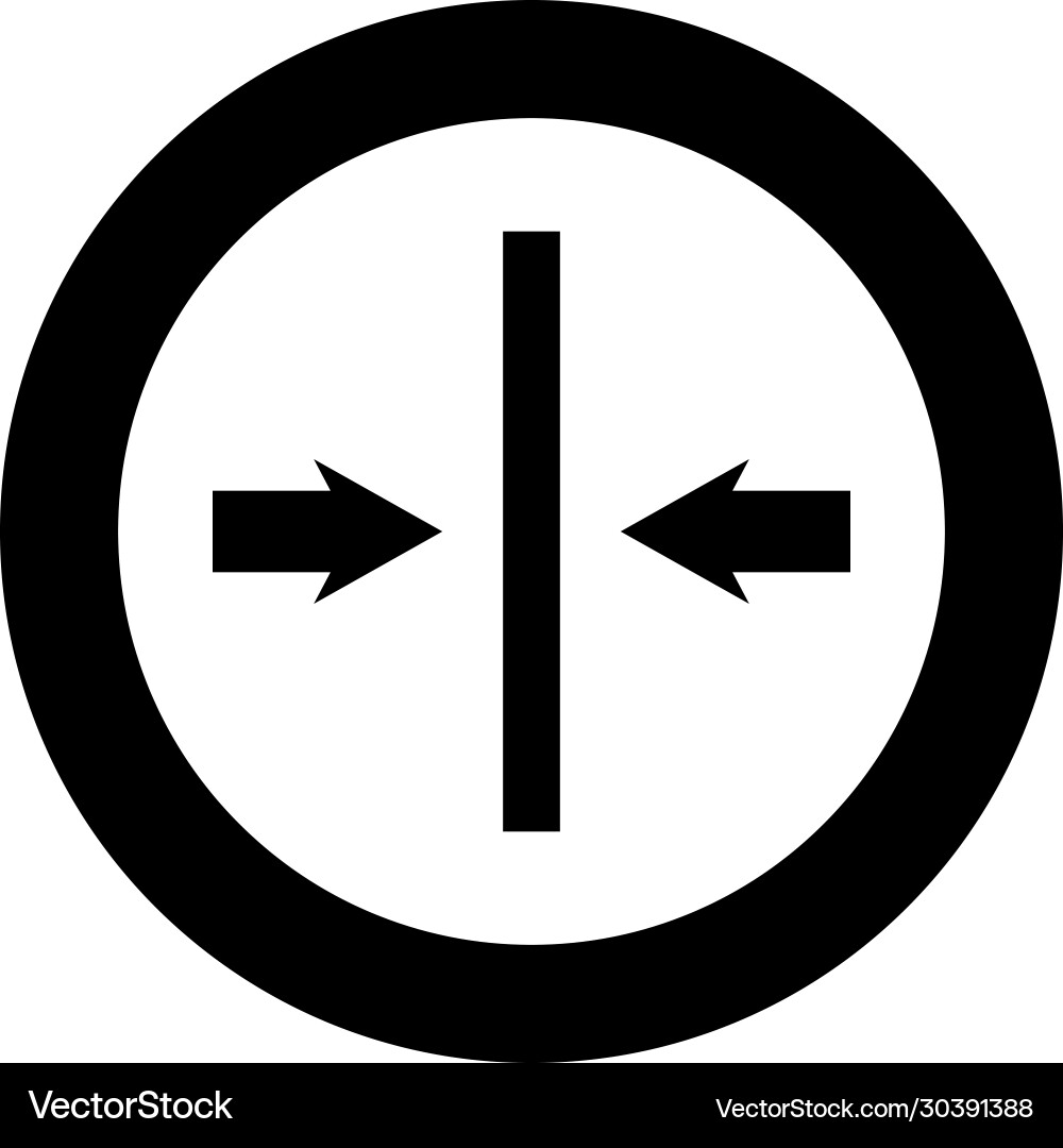 Symmetrical layout image designation vector image
