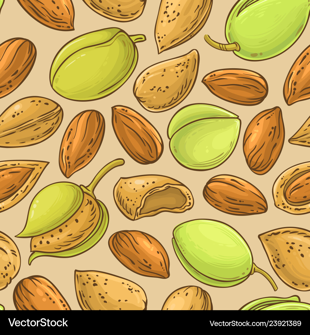 Almond nuts pattern on color background Almond nuts pattern on color background vector image