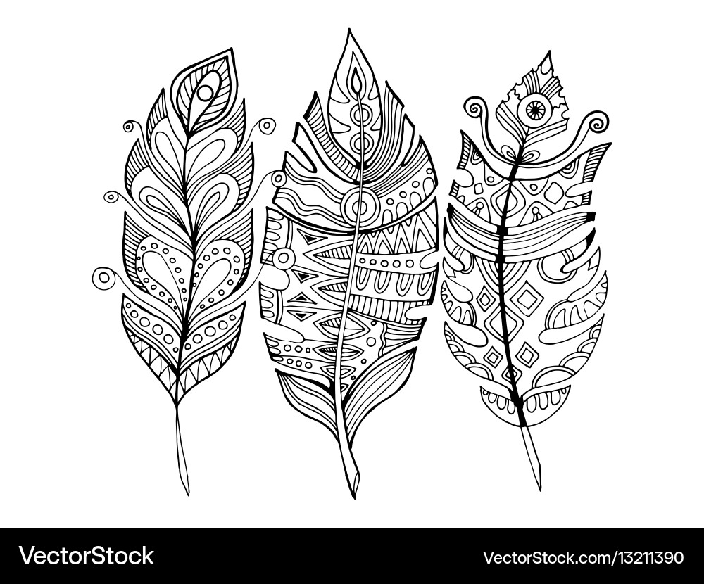 Feather Pattern Coloring Page vector image