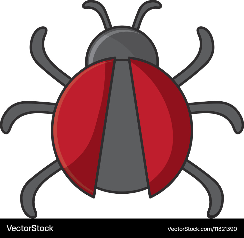 Isolated bug insect design vector image