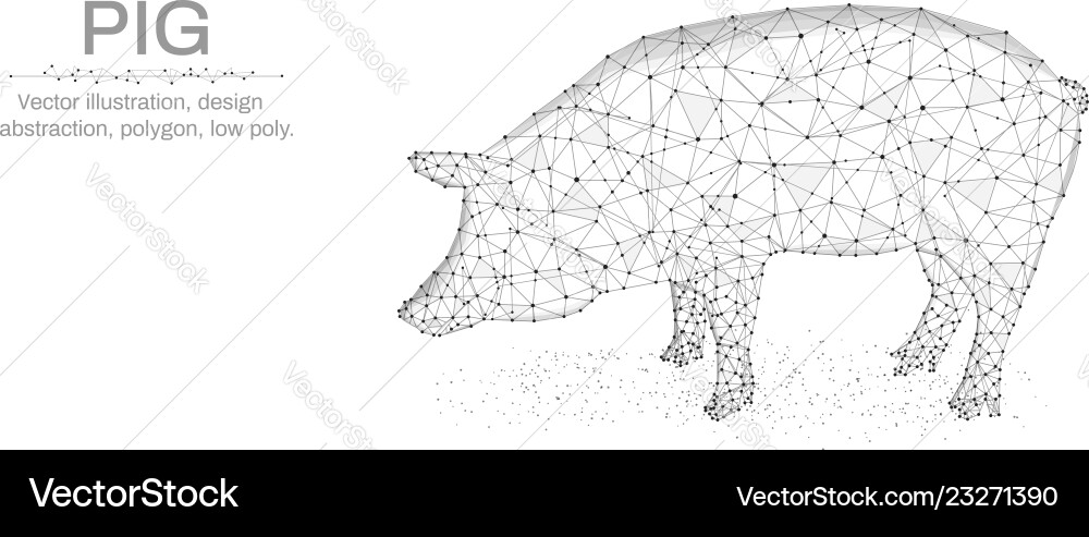 Pig new year made by points and lines polygonal Pig new year made by points and lines polygonal vector image
