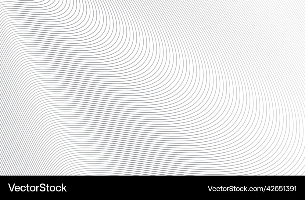 Gray Line Pattern - White Background vector image