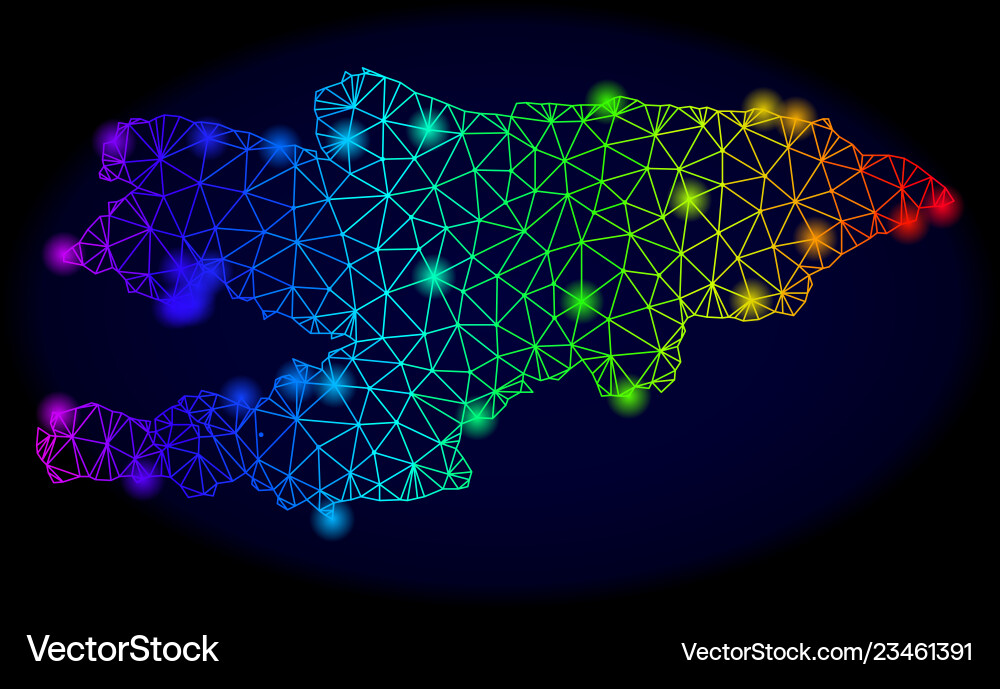 Polygonal network spectrum mesh map vector image