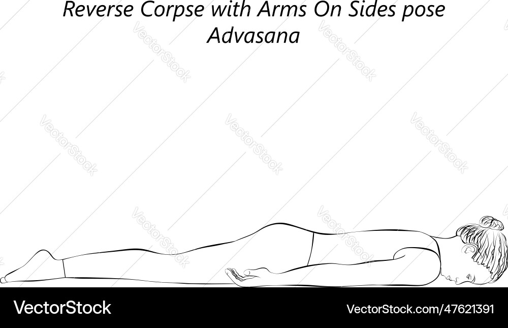 Sketch of young woman practicing yoga doing Sketch of young woman practicing yoga doing vector image