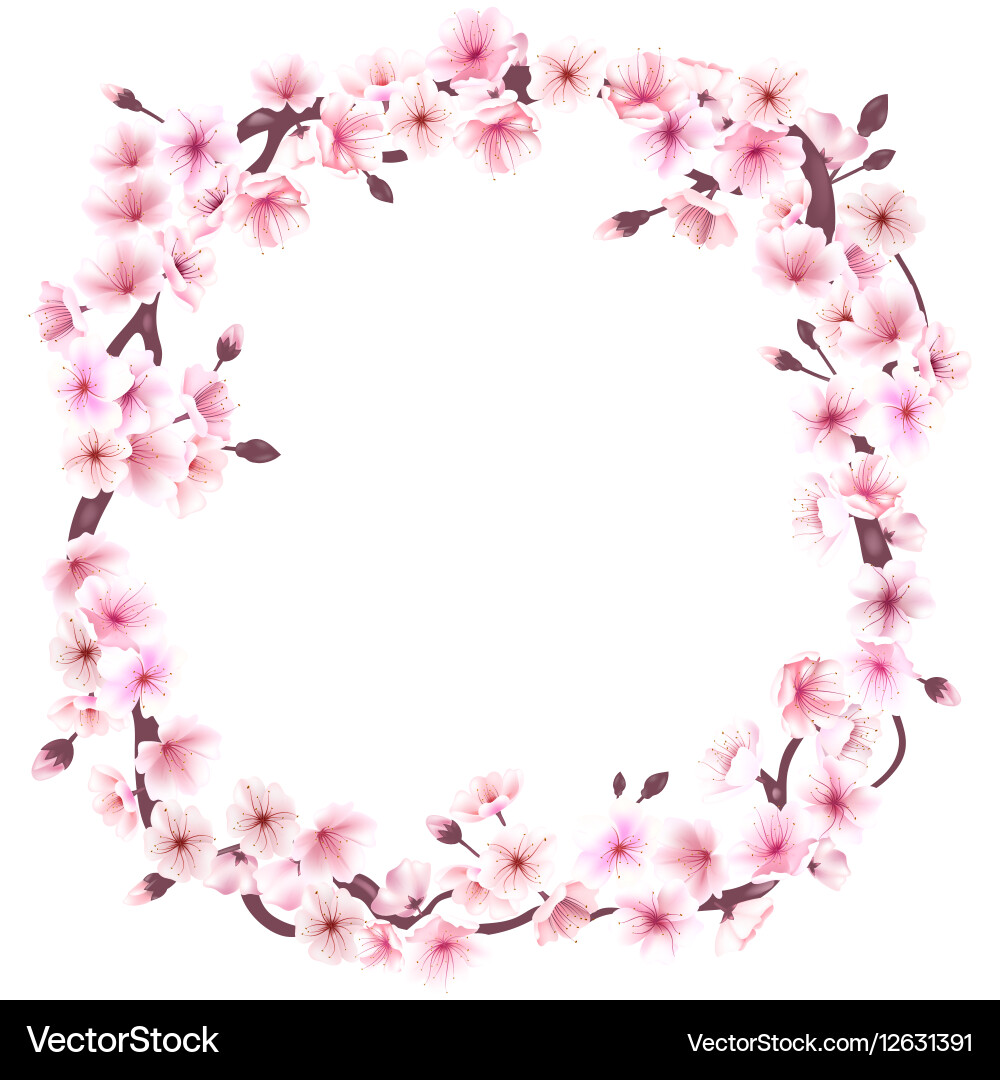 Spring wreath with cherry blossoms place for text vector image