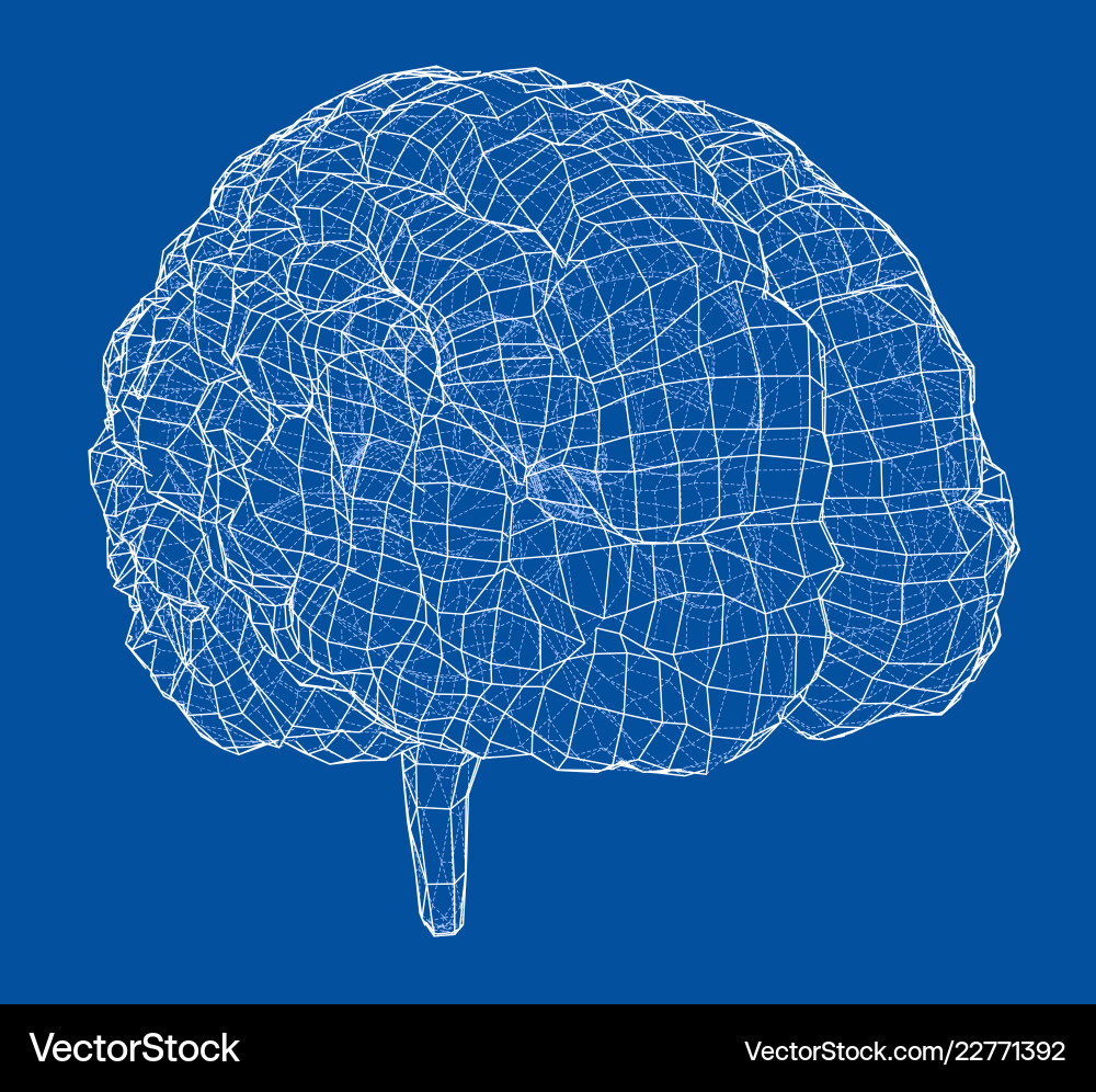 3d outline brain rendering of 3d outline brain rendering of Vector Image