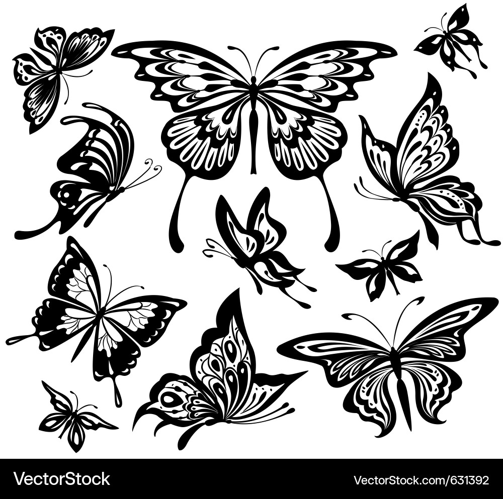 Black and White Butterfly Collection vector image