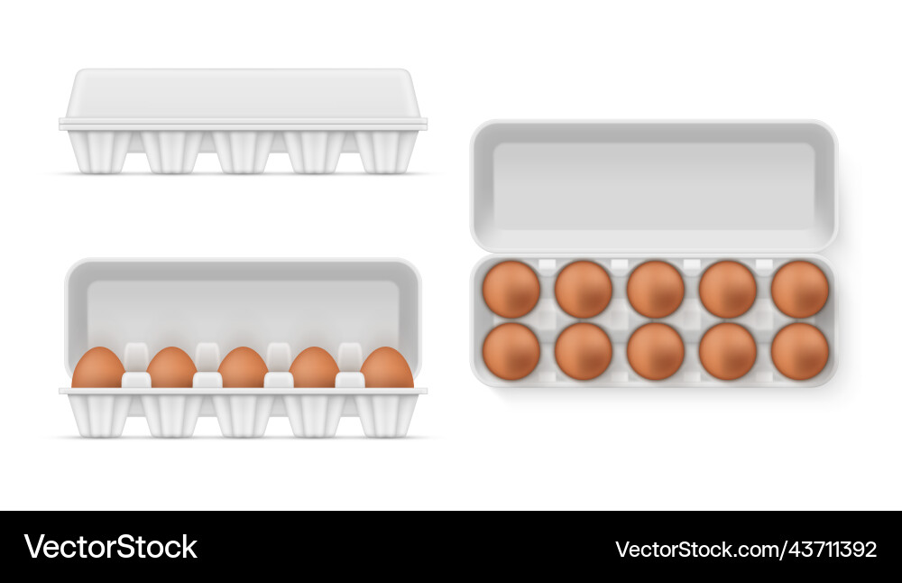Chicken eggs in open and closed box set realistic Chicken eggs in open and closed box set realistic vector image