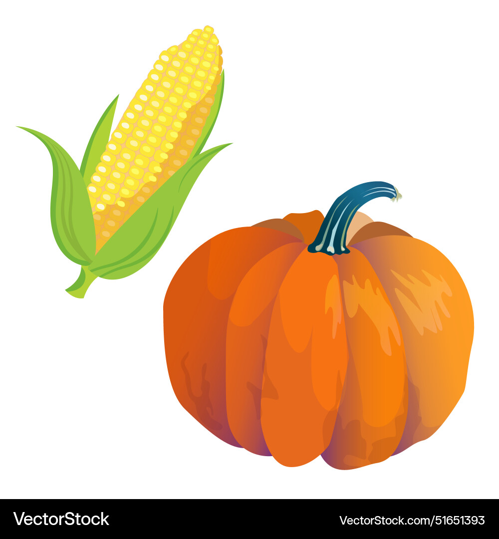 Set of harvest symbols - colorful pumpkin corn Set of harvest symbols - colorful pumpkin corn vector image