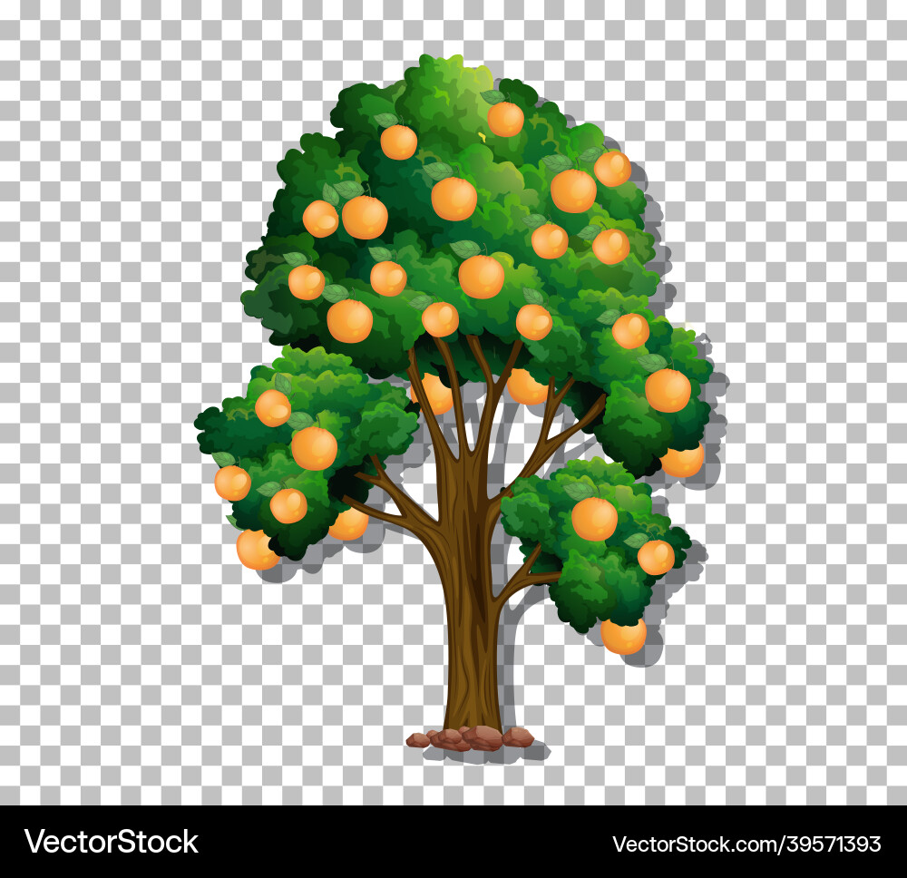 Tree on transparent background vector image