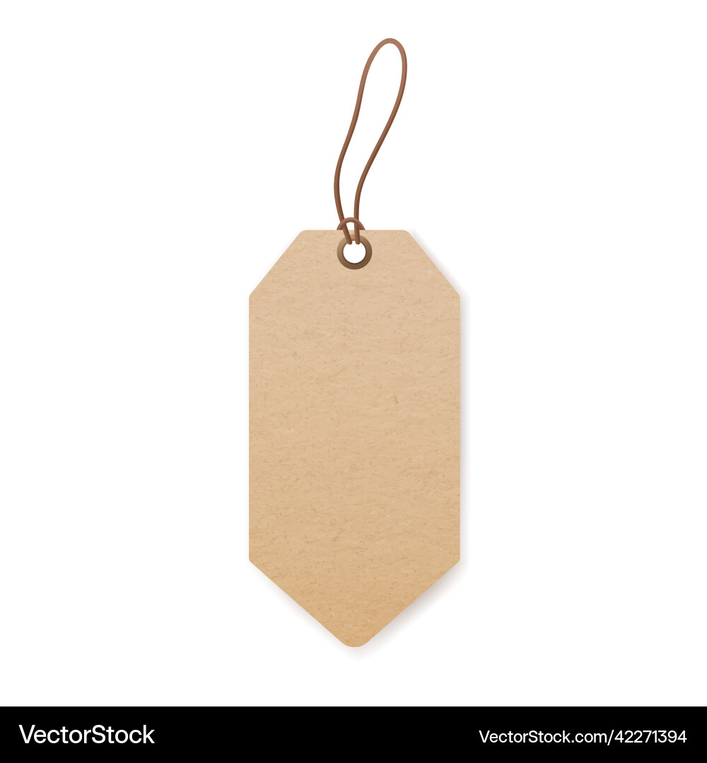 Craft cardboard label on string empty paper price Craft cardboard label on string empty paper price vector image